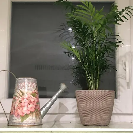Apartamento Prizemni Apartman V Centru Hustopeci Hustopeče